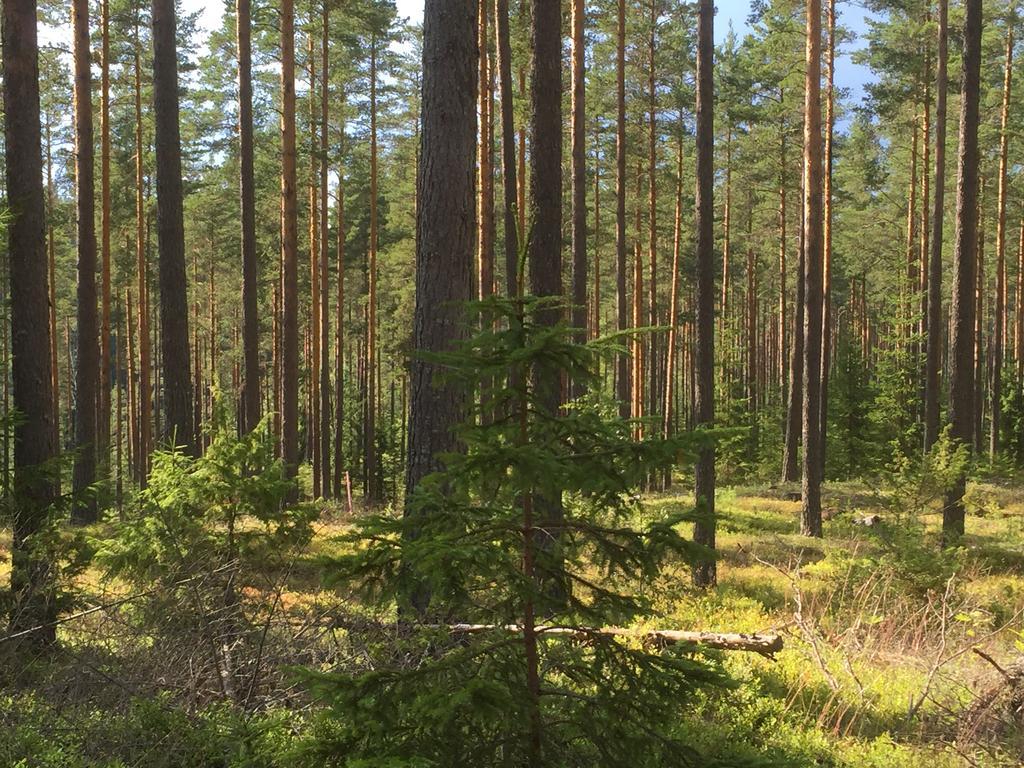 Vintergatans Rum Insjön Exteriér fotografie